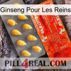 Ginseng For Kidney new01